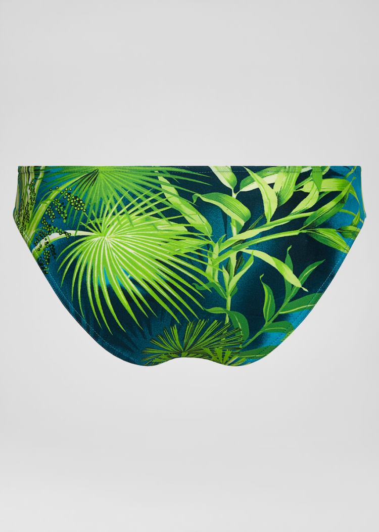 Versace Jungle Print Μπικίνι Bottom μαγιό γυναικεια Πολύχρωμο | 5RCW07J