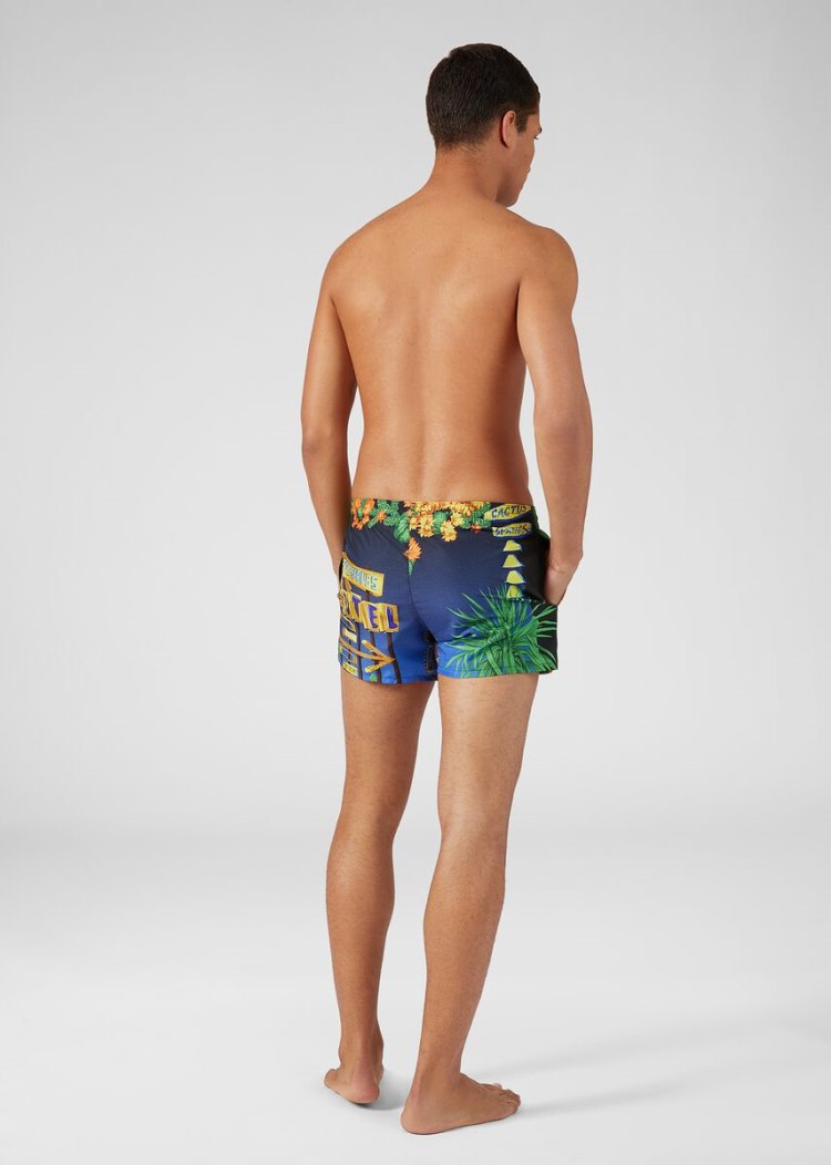 Versace Palm Springs Print Swim Shorts μαγιό ανδρικα Πολύχρωμο | 6YDTB9R