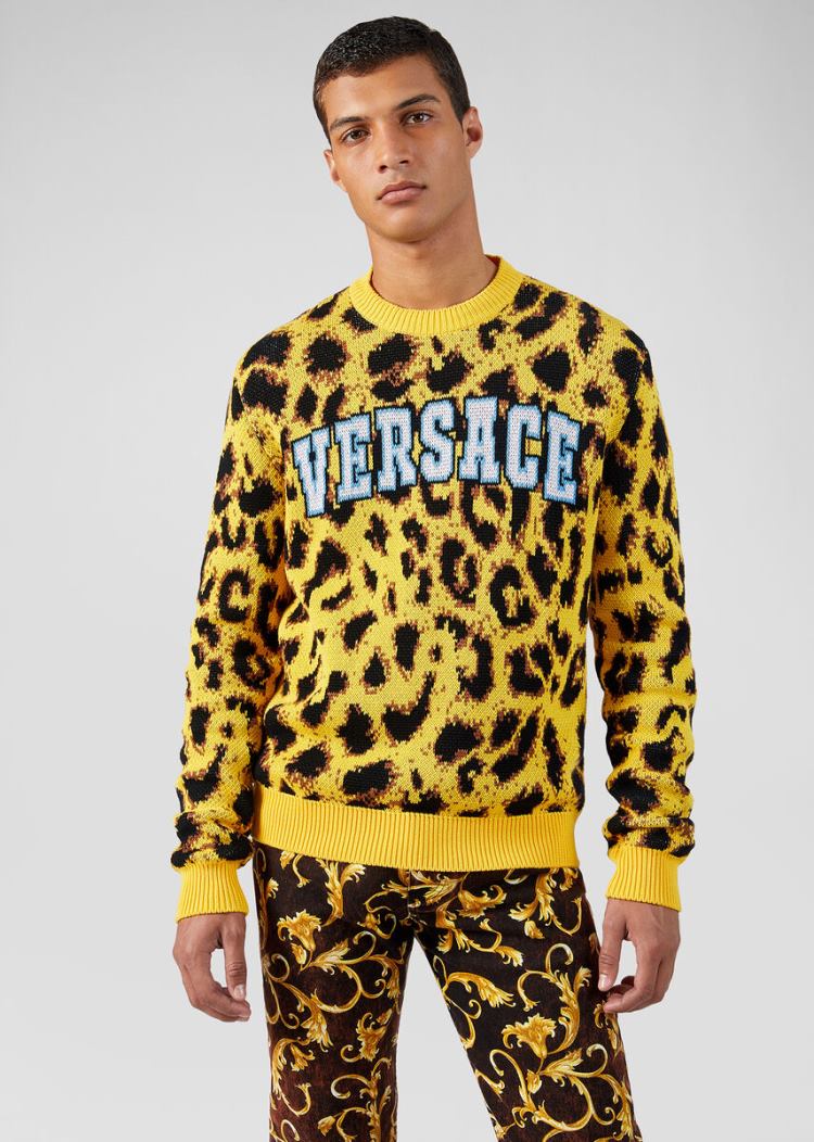 Versace Pop Animalier Jacquard πουλοβερ Πουλόβερ ανδρικα λεοπαρ | HRRFEVI