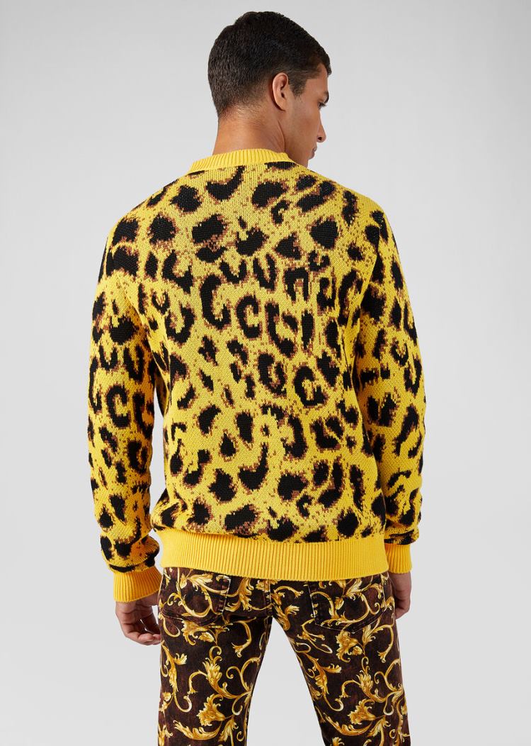 Versace Pop Animalier Jacquard πουλοβερ Πουλόβερ ανδρικα λεοπαρ | HRRFEVI