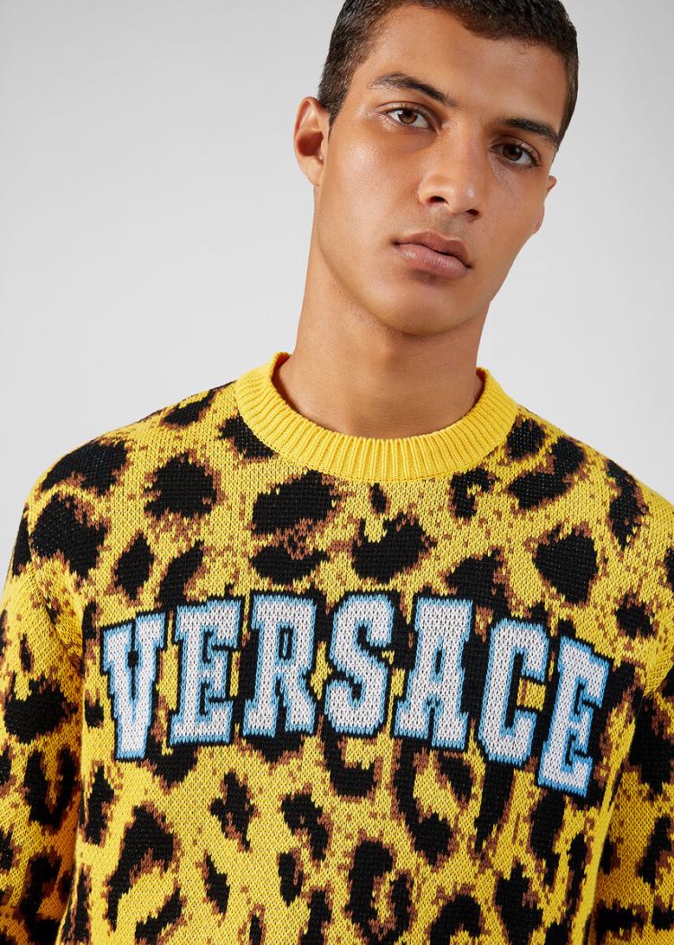 Versace Pop Animalier Jacquard πουλοβερ Πουλόβερ ανδρικα λεοπαρ | HRRFEVI