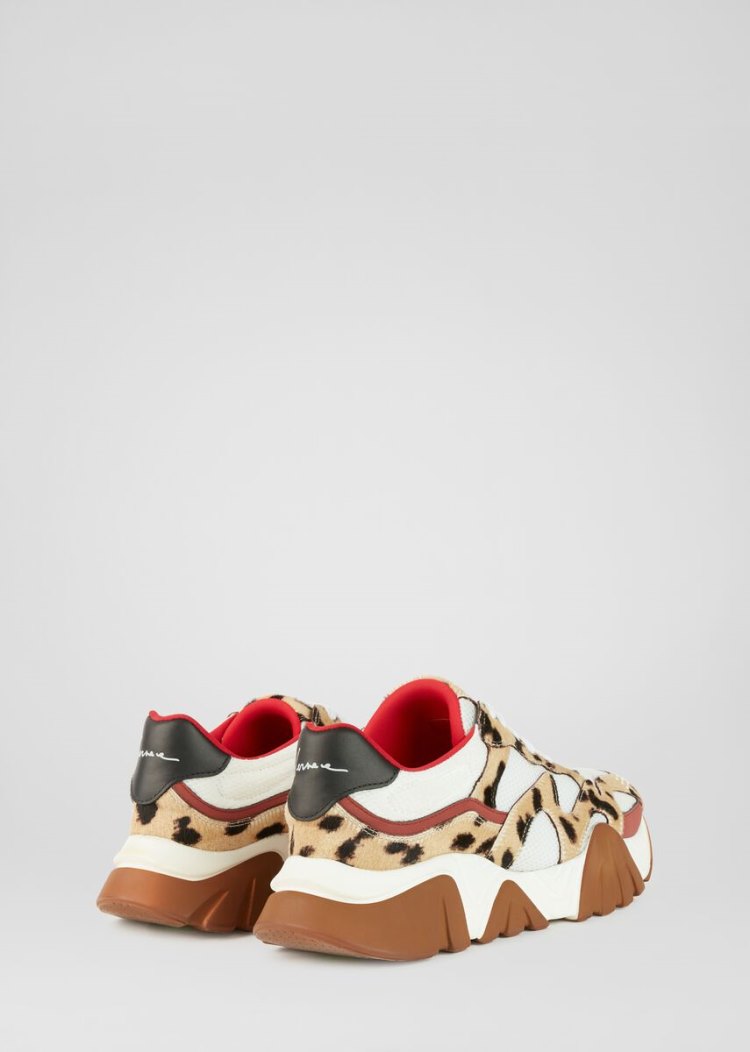 Versace Squalo Trainers αθλητικα ανδρικα λεοπαρ | K8Y0XE5